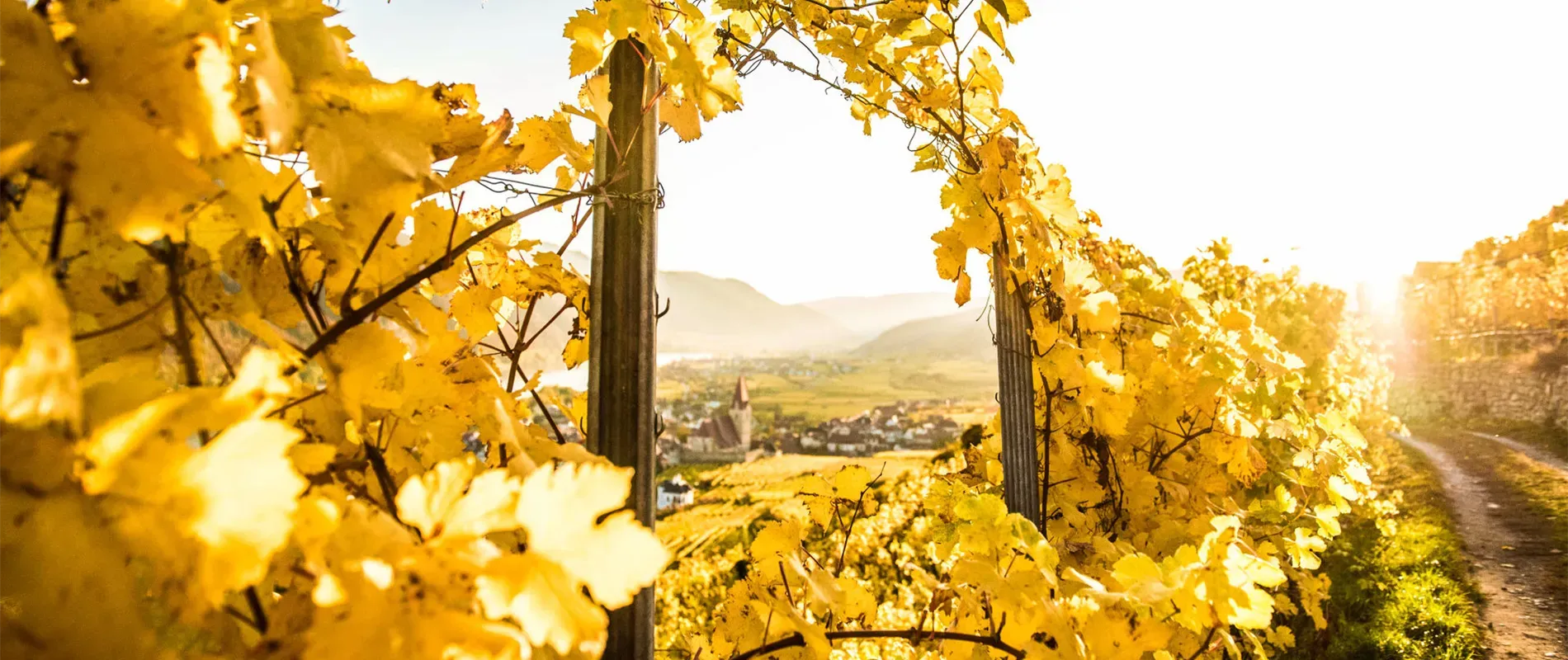 Kein Bildtext verfügbar