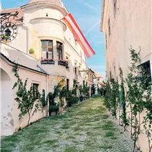 Kein Bildtext verfügbar