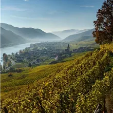 Kein Bildtext verfügbar