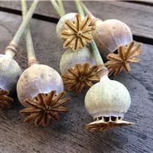 Kein Bildtext verfügbar