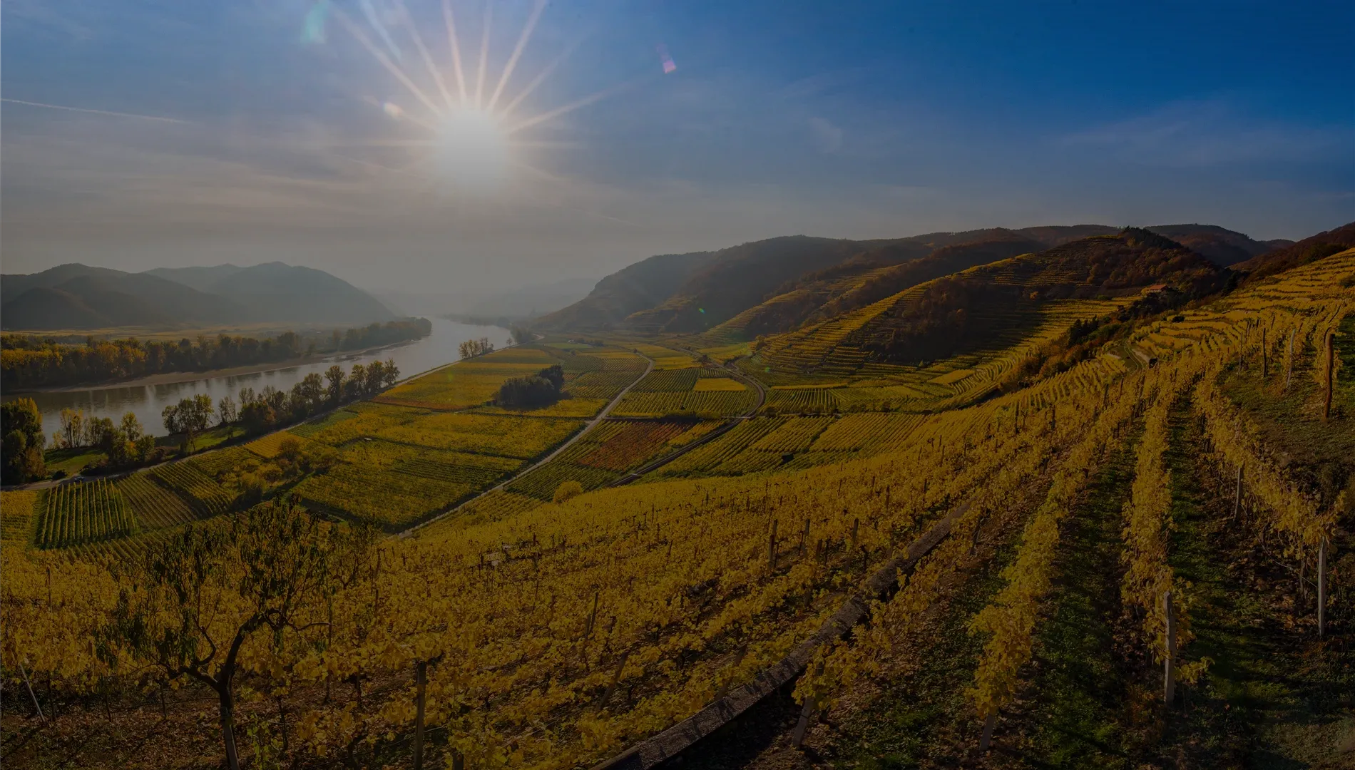 Kein Bildtext verfügbar